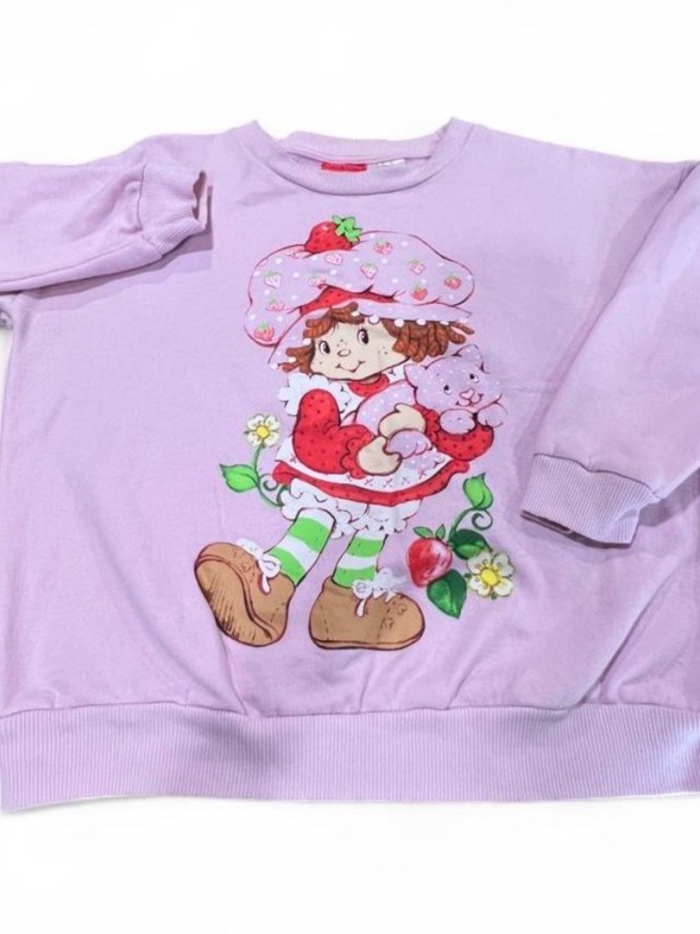 Adult Pink Strawberry Shortcake Sweatshirt- Medium